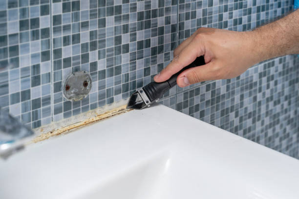 Best Mold Removal Near Me  in Devine, TX
